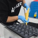 용황무림태권도장 이미지