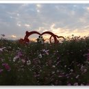 하늘정원1 이미지