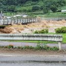 천도리양지마을 이미지