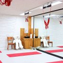 젠코어필라테스 이미지