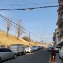 수원 남문시장, 지동시장, 영동시장 주말 나들이