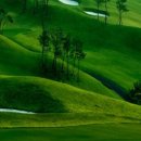 서라벌골프클럽 이미지