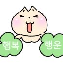 와일드복싱짐 안양관 네이버블로그