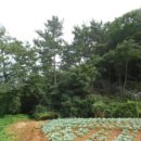 호리보건진료소 이미지