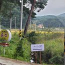 202 | 강릉 가성비 감성 숙소 스테이낙낙 202호 후기