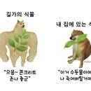 식물 특징 jpg 이미지