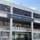 버스정류소_대정초교후문 | 해운대에서 광안리까지 한눈에 볼 수 있는 부산 요트투어 광안리 요트투어
