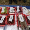 주암서원 이미지