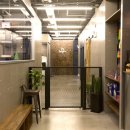 독핏 - 강남구 강남대로140길 26 | 독핏