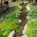 숲이랑농원 이미지