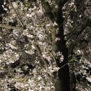 남도술상 이미지