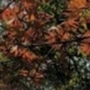 와인치과의원 네이버블로그