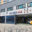 대륙시트