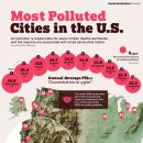 미국에서 가장 오염된 도시 이미지