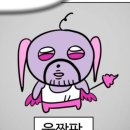 마루컴퍼니