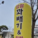 역전꽈배기 이미지