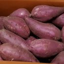 참조은농장 이미지