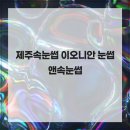 이오니안