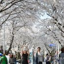 청풍보건지소 이미지