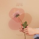 아이반 이미지