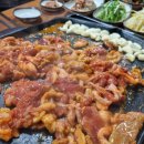 젤루조아