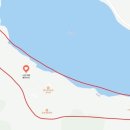 스완흑염소 이미지