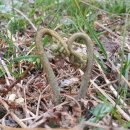 참솔에너지 이미지