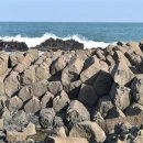 (여행) 바위 기둥 하나하나가 작품…경주바다 핫 플레이스 ‘주상절리길’ 이미지