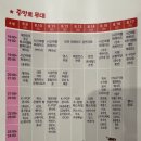 모터파크 | 2024 대전 0시 축제 방문 후기 (포토존/모터쇼/패밀리테마파크/가수 라인업)