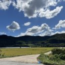 유실목장 이미지