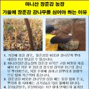 장준농장 이미지