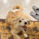 스테이15모텔 | 창원 휴일도 스테이 리얼 방문 후기