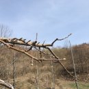 명선농장 이미지