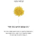 향기로운나무 | 향기로운 힐링을 하고 싶다면? 실내방향제 헤트라스 디퓨저