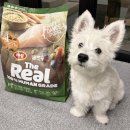 퍼피&피쉬 | 하림펫푸드 더리얼 닭고기 크런치 퍼피, 슬림 닭가슴살 캔으로 강아지밥꾸 후기