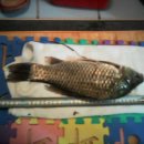 한수카센타 이미지