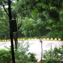 백운로-2 이미지