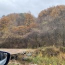 양평프라자주유소 이미지