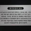 진막창 네이버블로그