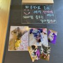 산이네포차