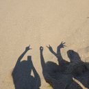 (주)삼다도횟집 | Daily : 250707-250720