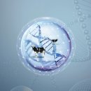 작금축산 이미지