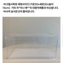 크레도니아