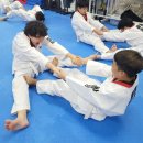 보텝스 태권도장 이미지