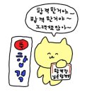 세무법인스카이원 - 강남구 봉은사로 303 | 2026 국가직 세무 공무원 8개월 합격 수기 / 수험생활 / 공부방법