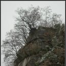 영주동반구정 이미지