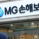 전신 그린화재-Mg손해보험(파산) 이미지