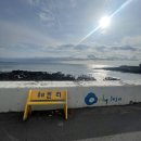 남원읍-75 | [서귀포 남원] 올레길 5코스 위 사장님이 친절한 카페 #헤븐리