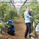 부여군농업기술센터 이미지