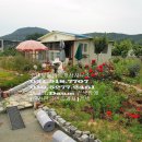 자유로농장 이미지